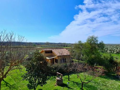  Villa Oliva in Canino