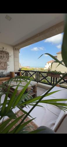 Sea View Terrace Apartment Delmar Buzovna – khách sạn tại Sagan