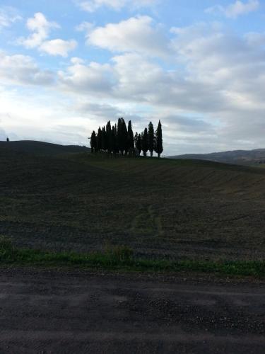 Passaggio in Val d' Orcia 1