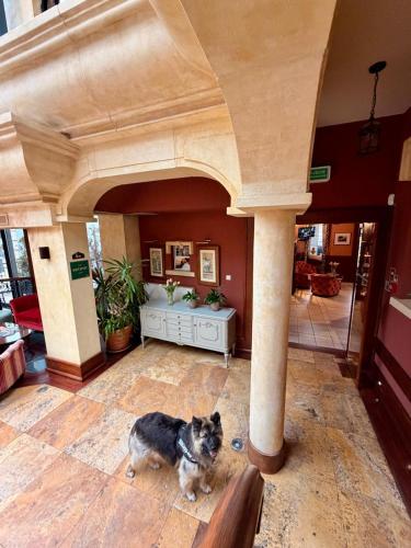 Meduza Hotel & Spa - image 2