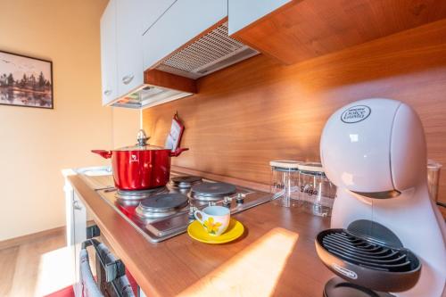 Roncobellissimo! - Fresco e relax a 1.000 metri in Roncobello