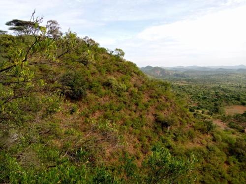 Footprint Baringo in Lake Bogoria Nemzeti Park