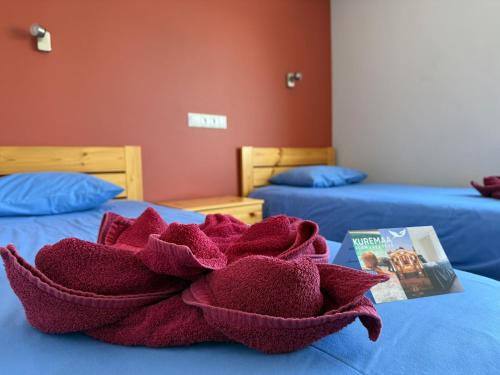 2 twin beds