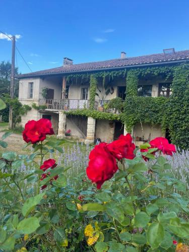 花園, mill house in the dordogne in 聖皮耶爾德科爾