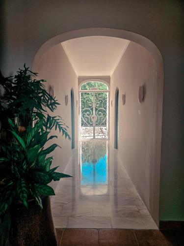 Coconuts Tropical Boutique Hotel Curaçao (Coconuts Tropical Boutique Hotel Curacao) in Nieuwpoort