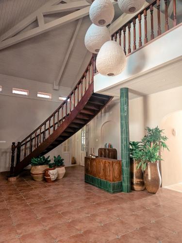 Coconuts Tropical Boutique Hotel Curaçao (Coconuts Tropical Boutique Hotel Curacao) in Nieuwpoort
