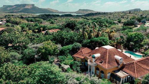 Coconuts Tropical Boutique Hotel Curaçao (Coconuts Tropical Boutique Hotel Curacao) in Nieuwpoort