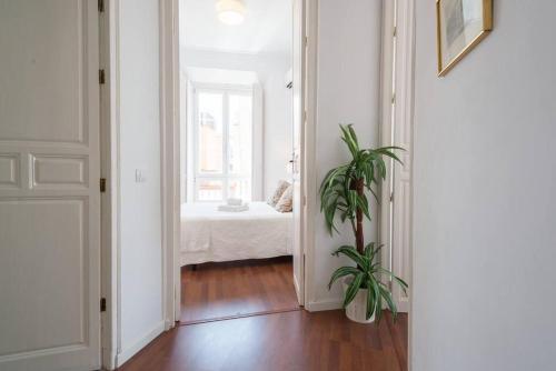 Sunny Málaga Apartments - image 2
