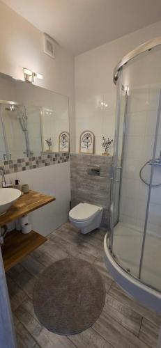 Apartament Nowe Maniowy in 馬尼奧維