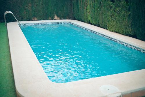 Swimming pool, Villa Campoamor in Torrevieja