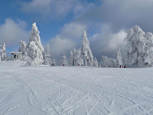 Pfenniggeiger-Hütte - image 6