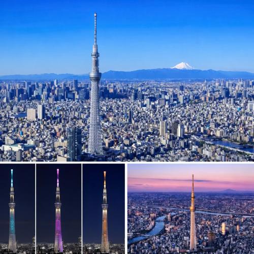 THE東京の貸切和風民泊の新体験!! 成田空港 羽田空港直通特急駅 貸切露天浴場 68インチ映画TV室 近スカイツリー 浅草上野銀座ディズニー 高速WiFi 長期割引 東京和屋AOTO, Tokio
