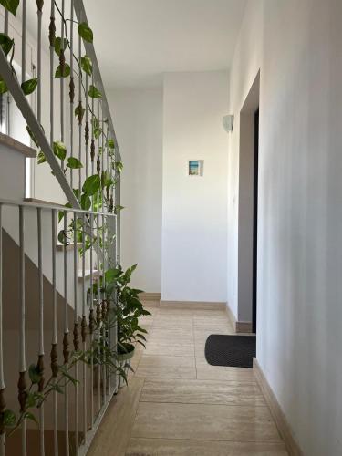 B&B D'Amare in San Salvo