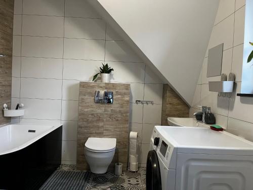 Powidz Cozy Apartament in Powidz