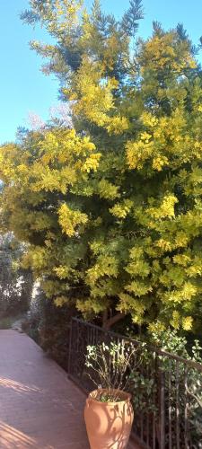 CHAMBRE lumineuse jardin arbore in La Chamberte