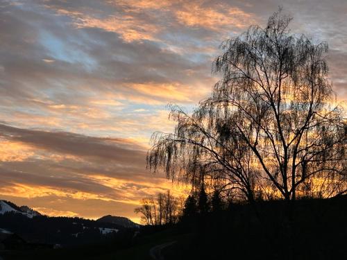  Schlafen im Sternen Ennetbühl in Nesslau