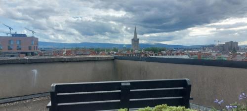 Newly Renovated Christchurch 1BD Roof Garden, Dublin (fotografie 8)