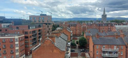 Newly Renovated Christchurch 1BD Roof Garden - image 4