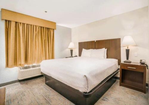 1 king bed