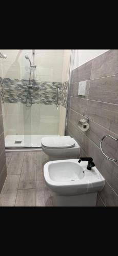Domus Dotta New 3