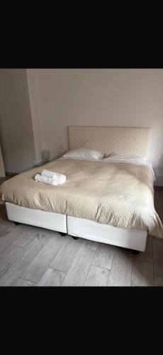 Domus Dotta New 4