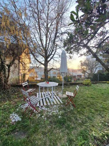 Jardin, Viktoria Budget Hostel in Zürich