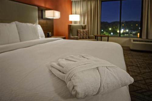 Hilton Knoxville Airport - image 28
