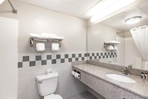 MountainView Lodge and Suites - 화장실