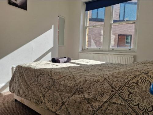 Bright Double Bedroom in King's Cross St Pancras Eurostar, London
