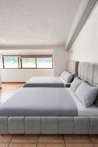 Bowra Suite Nina, Zona Consulado ORQ 8