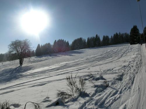 Sports and activities, Ferienwohnung "kleines gluck" in Winterberg-Niedersfeld in Niedersfeld