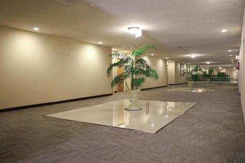 ทัศนียภาพภายนอกโรงแรม, Hampton Inn by Hilton Tampico – Zona Dorada in แทมปิโก
