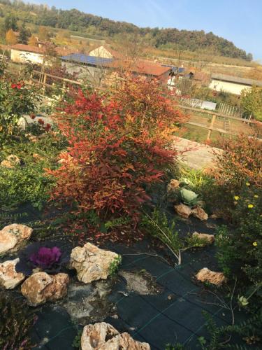 Agriturismo da Mamma - image 2