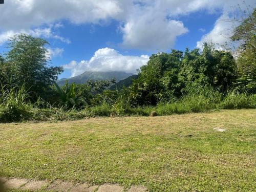 View, Maison chaleureuse en pleine nature- Vue sur la montagne Pelee in Le Morne Rouge