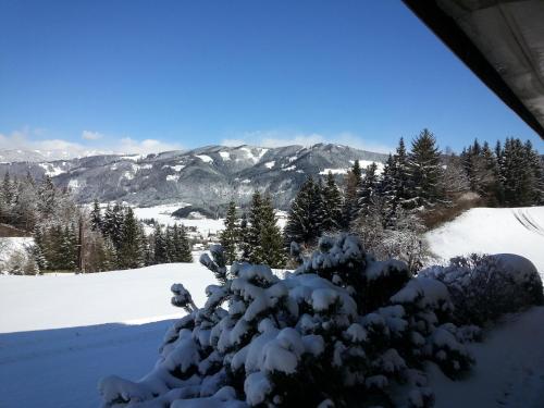 Urlaub am Bauernhof Familie Rößler vlg. Spor