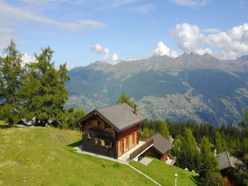Chalet in Thyon-Les Collons, Les Collons (photo 7)