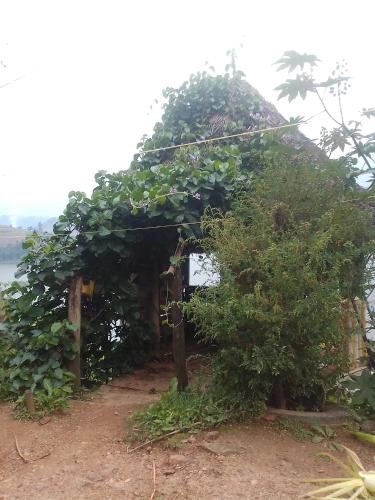 Lake bunyonyi DHA farm project in Kabale