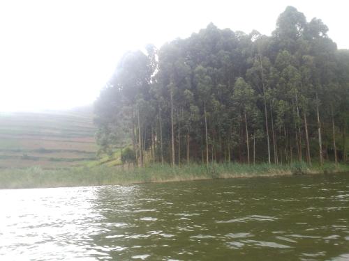 Lake bunyonyi DHA farm project in Kabale