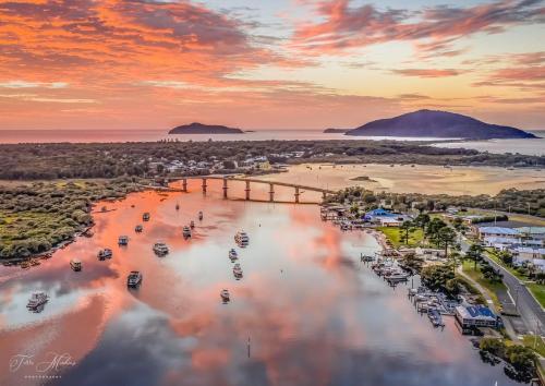 The Banksia's in 茶園