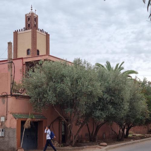 Viesnīcas āriene, Momo's villa in Ait Ourir