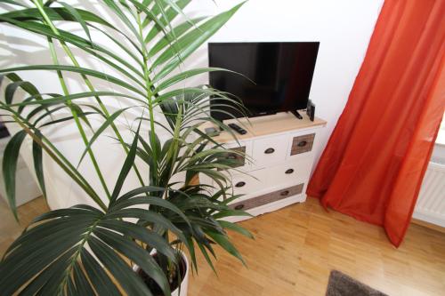 LE-Citywohnung-I, Lipsko (fotografie 2)