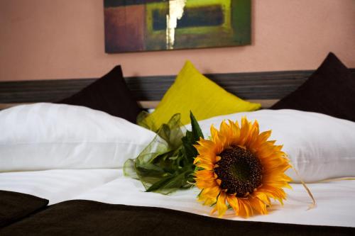 Hotel Relax