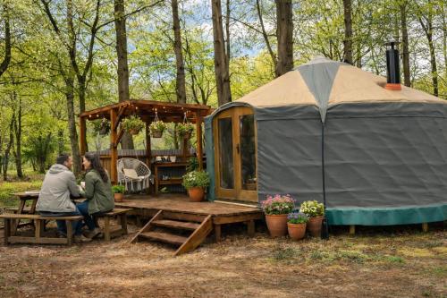 Holt Woodland Glamping - Shepherd Huts & Yurts Dog Friendly - Sheringham