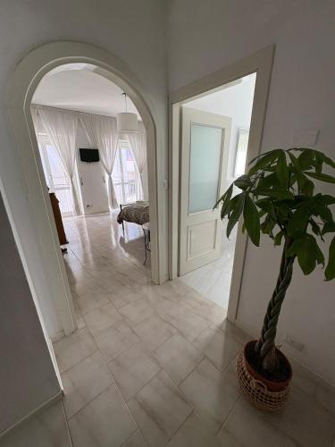 Lungolago Centro Apartment