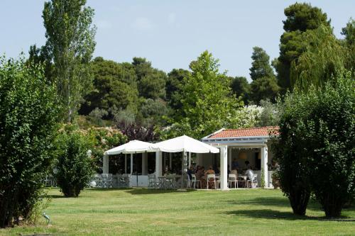 Skiathos Holidays - image 13