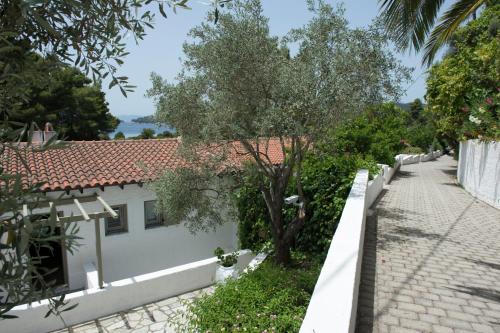 Skiathos Holidays Suites & Villas