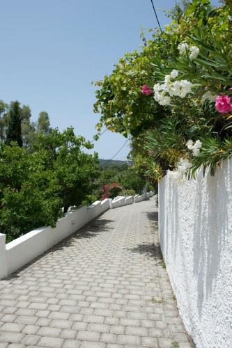 Skiathos Holidays Suites & Villas