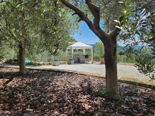 Dārzs, Il Casale di San Jacopo con Piscina Privata in Localita Goraiolo