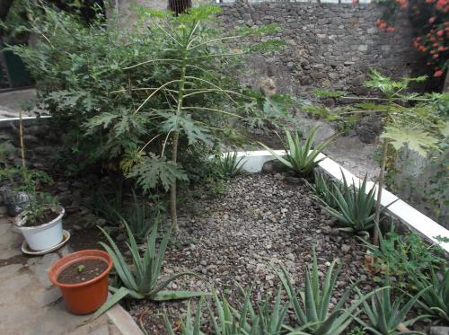 Aussicht, Misurino in Paul