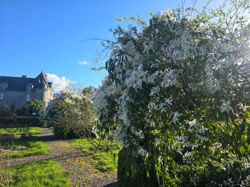 Dārzs, Apartment in a Chateau with Park in Trédaniel